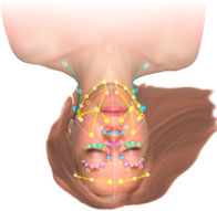 Face with MLD Sequences